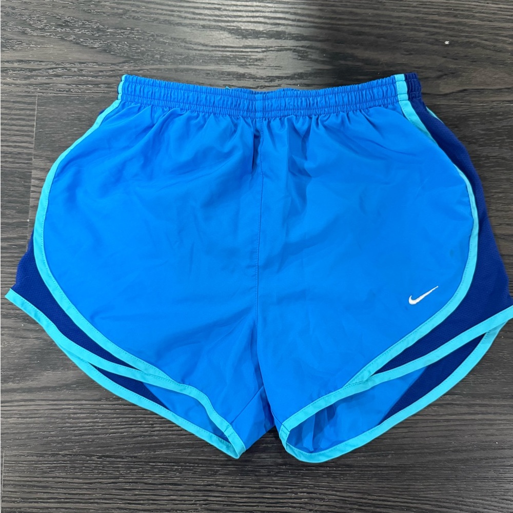 Nike Dri-FIT Blue Athletic Shorts